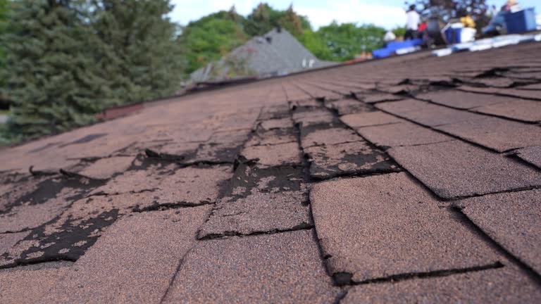 Professional Roofing Services in Silver Lake, NJ